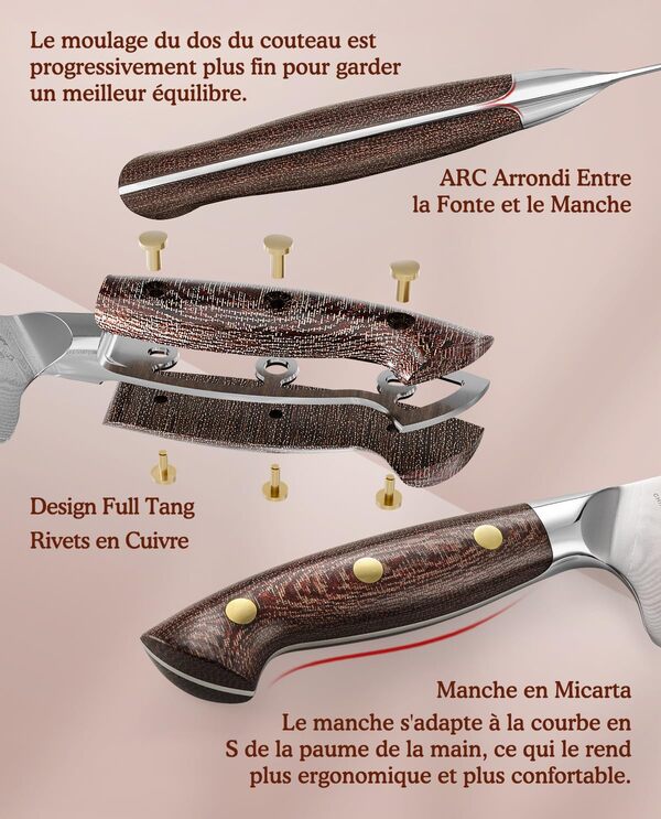 HEZHEN Damas Ensembles de Couteaux de Cuisine 5 Pièces，Set de Couteaux de Chef Professionnels en Acier Damas Couteau Santoku, Manche en Micarta