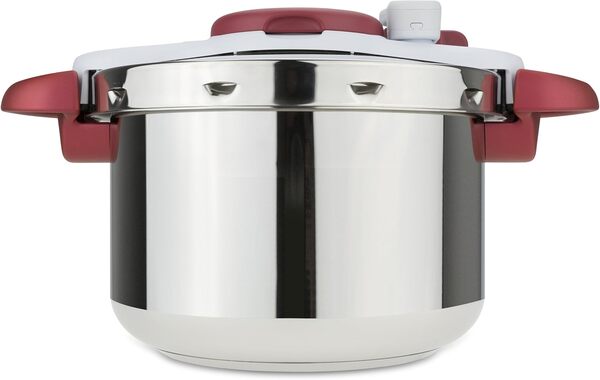 Tefal P4620733 Cocotte, Acier Inoxydable, Blanc/Rouge, 22 cm