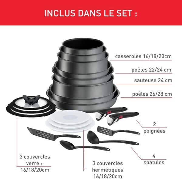 Tefal Ingenio Batterie de cuisine 20 p, Poêles, Casseroles, Induction, Revêtement antiadhésif résistant, Empilable, Compatible lave-vaisselle, Fabriqué en France, Daily Chef On L7619402